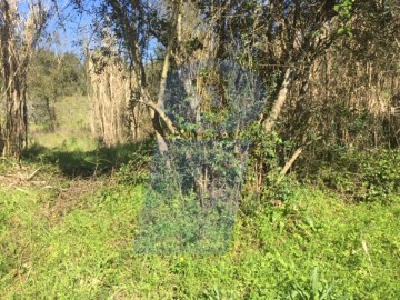 Terreno em Tamengos, Aguim e Óis do Bairro