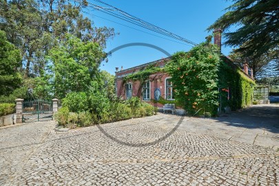 Casas rústicas 10 Habitaciones en Azeitão (São Lourenço e São Simão)