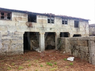Quintas e casas rústicas em Vale (São Cosme), Telhado e Portela