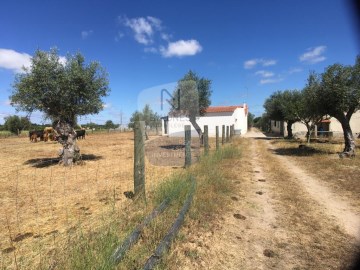 Terrenos en Alvega e Concavada