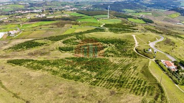 Terreno em Santo Quintino