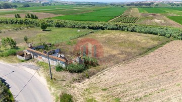 Quintas e casas rústicas em Ventosa