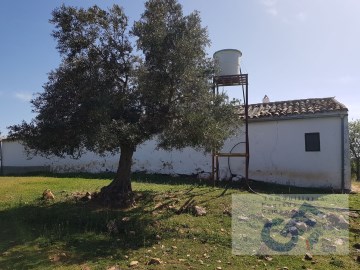 Casas rústicas en Villanueva del Rey