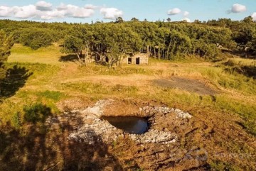 Moradia 1 Quarto em São Pedro e Santa Maria e Vila Boa do Mondego