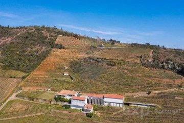 Country homes 4 Bedrooms in Vila Flor e Nabo