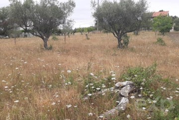 Casas rústicas  en Bouça