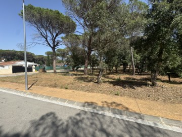 Terre à La Mata