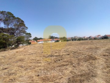 Terreno de 2.2 Hectares | Foros da Amora