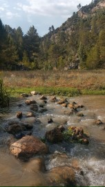 Country homes in Requena