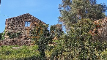 Quintas e casas rústicas em Ceivães e Badim