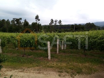 Maisons de campagne à Monção e Troviscoso