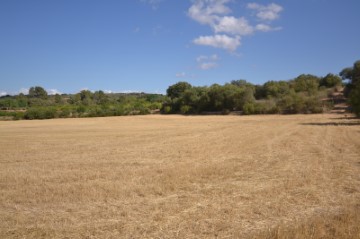 Land in Porreres