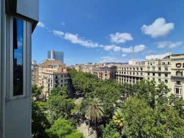 Vista desde la oficina