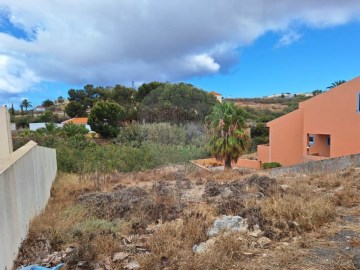 Terreno em Porto Santo