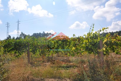 Terreno com vinha, Troviscoso, Monção, terreno