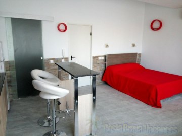 Apartment 4 Bedrooms in Pineda de Mar Centre