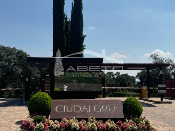 Ciudalgolf