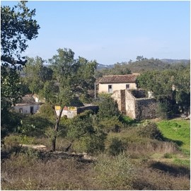 Quintas e casas rústicas em Santa Catarina Da Fonte Do Bispo