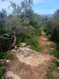 Terrain mixte avec ruine. Barranco de São Miguel