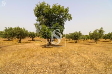 Country homes 3 Bedrooms in Ermidas-Sado