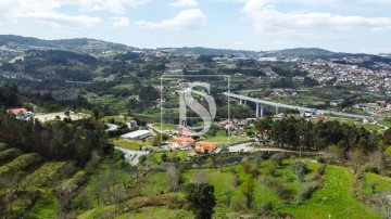 Terre à Amarante (São Gonçalo), Madalena, Cepelos e Gatão