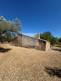 Quintas e casas rústicas 1 Quarto em Mas de Barberans