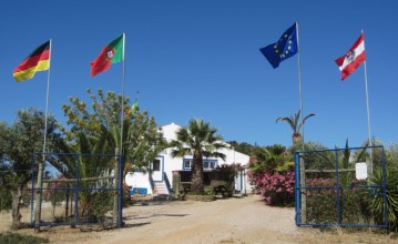 Commercial premises in Amieira e Alqueva