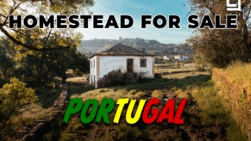 Maisons de campagne 4 Chambres à São Pedro e Santa Maria e Vila Boa do Mondego