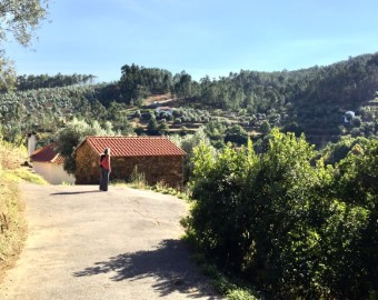 Maisons de campagne  à Pedrógão Grande