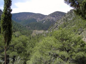 Land in Pina de Montalgrao