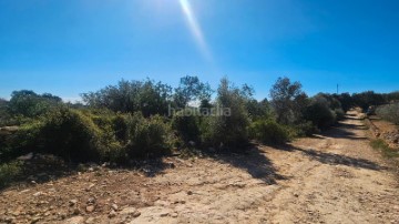 Casas rústicas en Cervera del Maestre