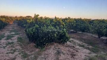 Quintas e casas rústicas em Gavarda Antiguo