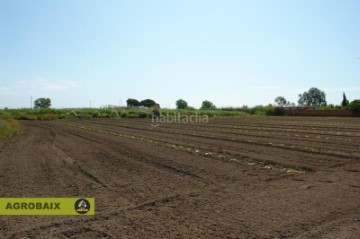 Maisons de campagne à Centre