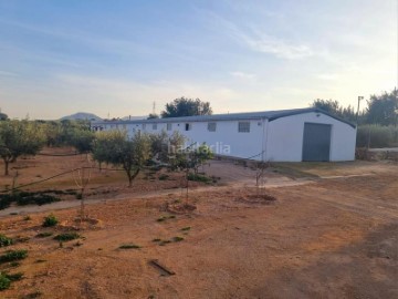 Casas rústicas 4 Habitaciones en Sant Josep-Mercat