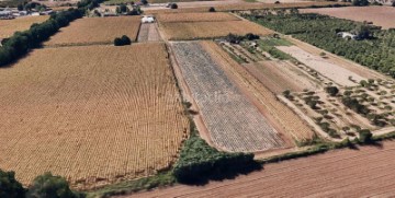 Quintas e casas rústicas em La Montaña-El Cortijo