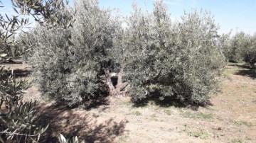 Maisons de campagne  à Maracena