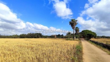 Country homes 4 Bedrooms in Manacor