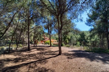 Casa o chalet 5 Habitaciones en Monteamor - La Carrasca - El Peucal
