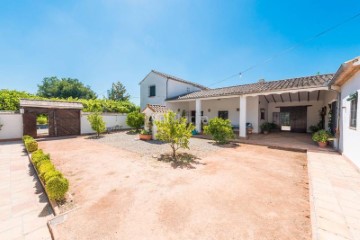 House 6 Bedrooms in Loreto