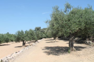 Casas rústicas en Silla