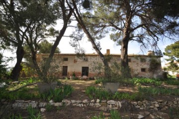 House 15 Bedrooms in Campo Arriba