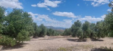 Maisons de campagne à Benamejí