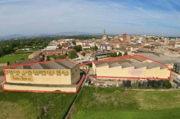 Terrenos en San Adrián