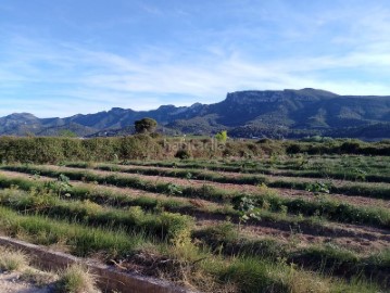 Country homes in Poligono Industrial