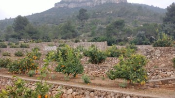Quintas e casas rústicas em Pla de Montserrat