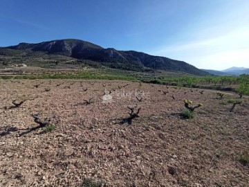 Quintas e casas rústicas em Algueña