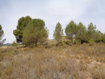 Quintas e casas rústicas em El Cabezo