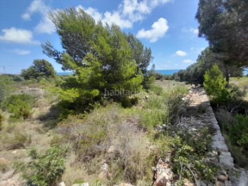 Casas rústicas en Costa sur