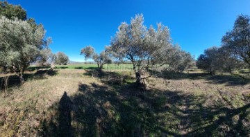 Casas rústicas en Rabós