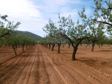 Casas rústicas en Mas del Curro